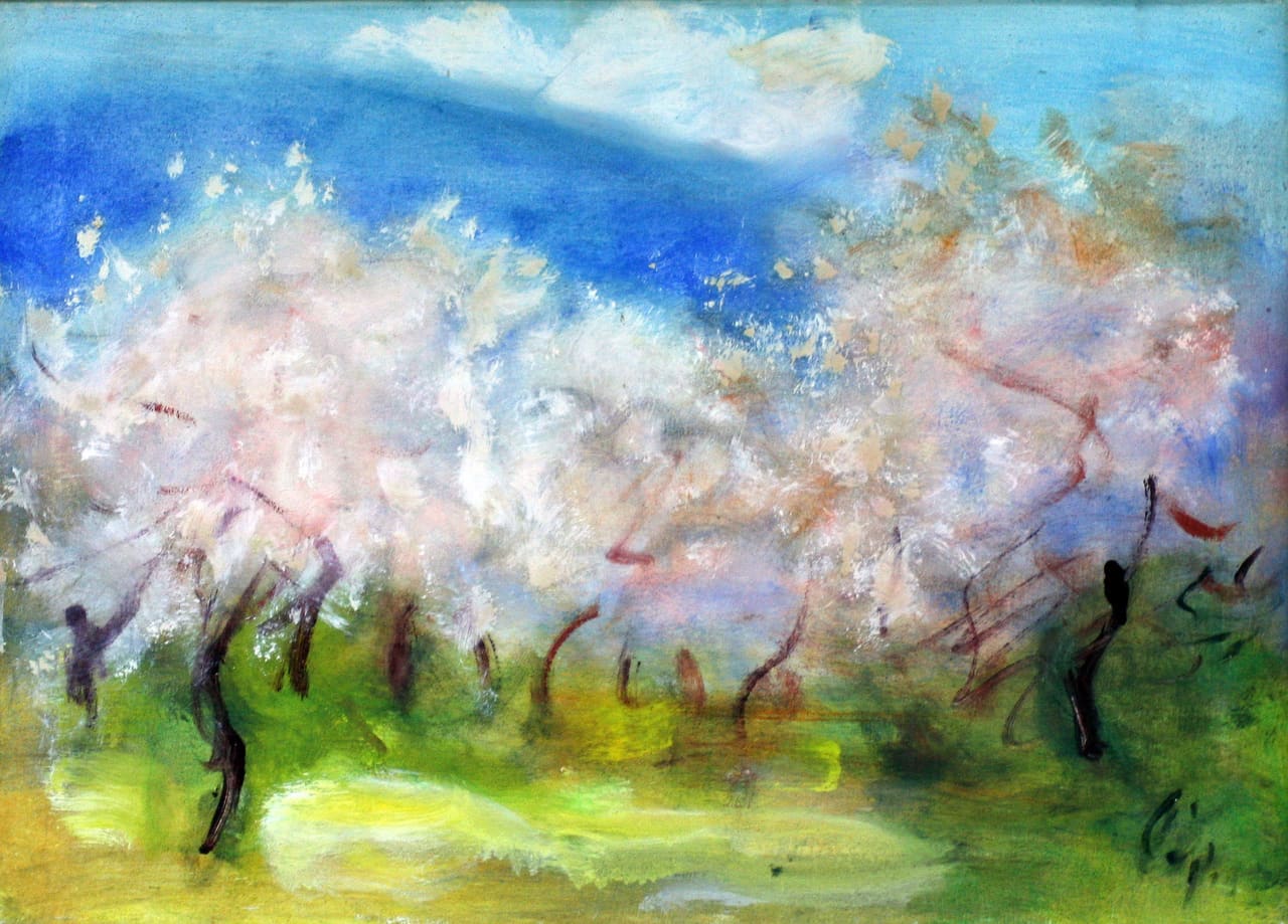 Blooming almonds — Doris
